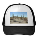 Sonoran Desert Scene 16 Hat