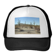 Sonoran Desert Scene 16 Hat