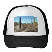 Sonoran Desert Scene 17 Trucker Hats