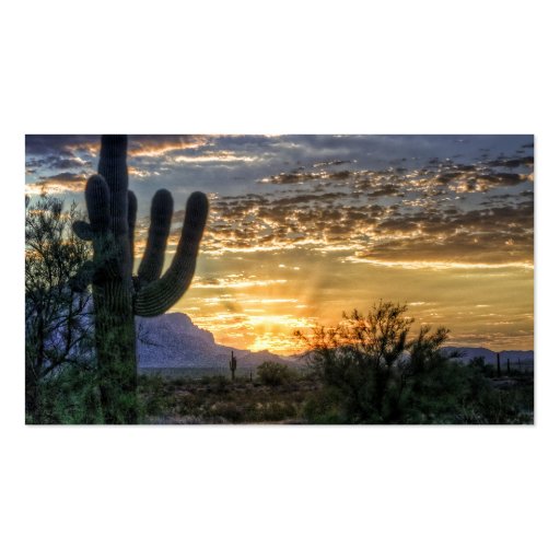 Sonoran Sunrise Business Cards (front side)