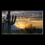 Sonoran Sunrise business cards
