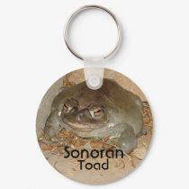 Sonoran, Toad, Arizona keychains by Precambrian Sonoran, Toad, Arizona keychains