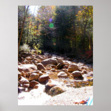 Soothing River trees Poster