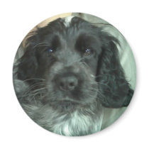Sooty magnets by andreahicky Sooty magnets