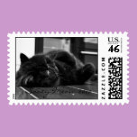 Sooty Meow Postage Stamp-lazing about stamps