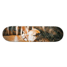 Sophie and Penny the french bulldogs Skateboards