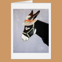Sophie Card cards