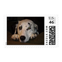 Sophie Peek A Boo postage