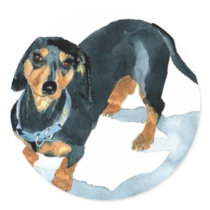 Sophie the Dachshund Stickers by mozache Sophie the Dachshund Stickers