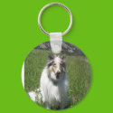 SophieC keychains