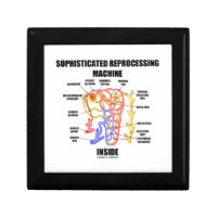 Sophisticated Reprocessing Machine Inside Nephron Gift Box