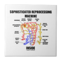 Sophisticated Reprocessing Machine Inside Nephron Small Square Tile
