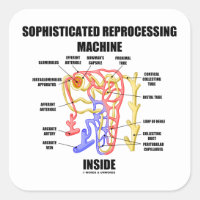 Sophisticated Reprocessing Machine Inside Nephron Square Sticker