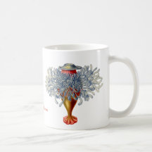 Sophonophorae Mug