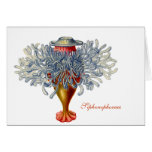 Sophonophorae Note Card