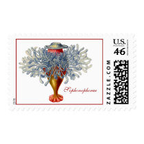Sophonophorae Stamp