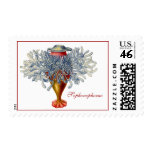 Sophonophorae Stamp