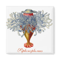 Sophonophorae Square Magnet by retroz Sophonophorae Square Magnet