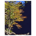 Soraksan National Park Flyer Design