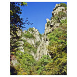 Soraksan National Park Custom Flyer