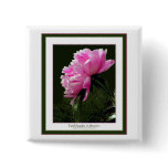 nature, flora, plants, peonies, quototaion,