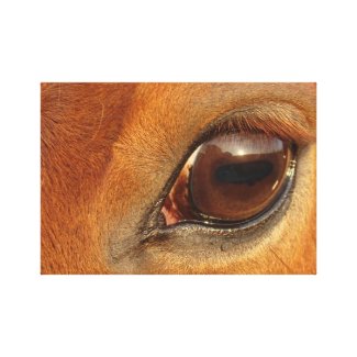 Sorrel Horse Eye Canvas Print