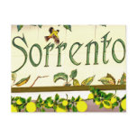 Sorrento,  Italy,  Sign Post Card