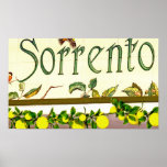 Sorrento, Italy, Sign posters