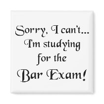 Sorry, Can't...Bar Exam Fridge Magnets