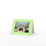 sorry greeting cards