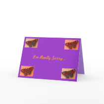 Sorry....Fibromyalgia Awareness Card