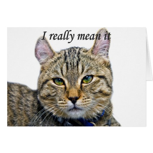 sorry-for-missing-your-birthday-greeting-card-zazzle