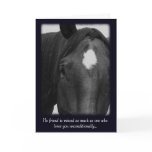 Sorry for the Loss of Your Horse Sympathy Card