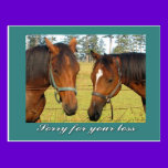 Sorry For Your Loss, Sympathy Two Sad Horses postcards