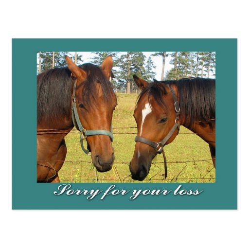 Heartbreaking Loss Sedgwick County Horses Succumb To Unknown Illness - 84zpp7b