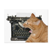 Sorry I haven't written postcards