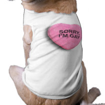 Sorry, I'm Gay pet clothing