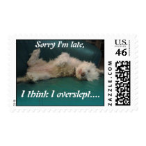 Sorry, I'm late puppy postage