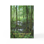 "Sorry I've been out of touch" Greeting Card