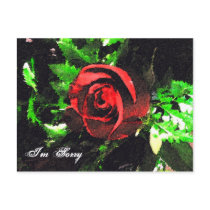 Sorry_ Postcard by ELENNE Sorry_ Postcard