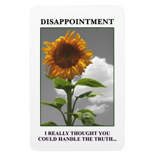 Sorry To Disappoint You Meme