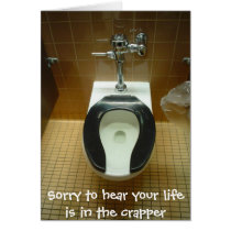 Sorry to hear your life is in the crapper... cards