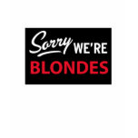 Sorry We Are BLONDES t-shirts