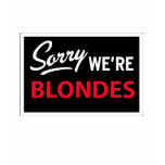 Sorry We Are BLONDES t-shirts