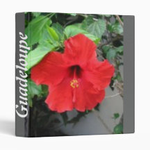 Sorter “Guadeloupe " Binders