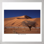 Sossussvlei sand dunes posters