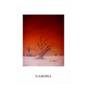 SOSSUSVLEI posters by chynnasiam SOSSUSVLEI posters