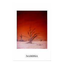 SOSSUSVLEI posters