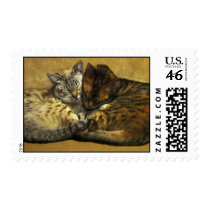 Soul Mates Stamp
