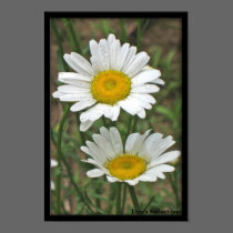 Soul Mates Poster posters by lorale Soul Mates Poster posters